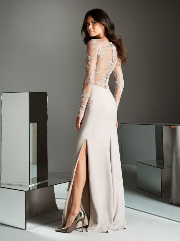 Lace sleeve long dress.JPG