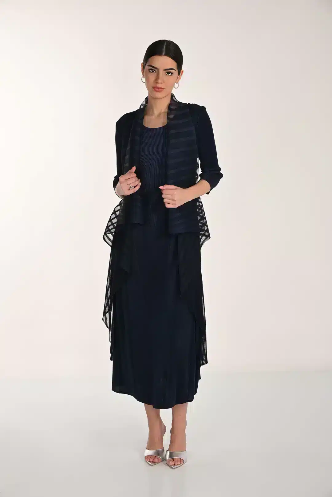 A-Line Round Neck Dress with Longline Mesh Overlay FLDR59.JPG