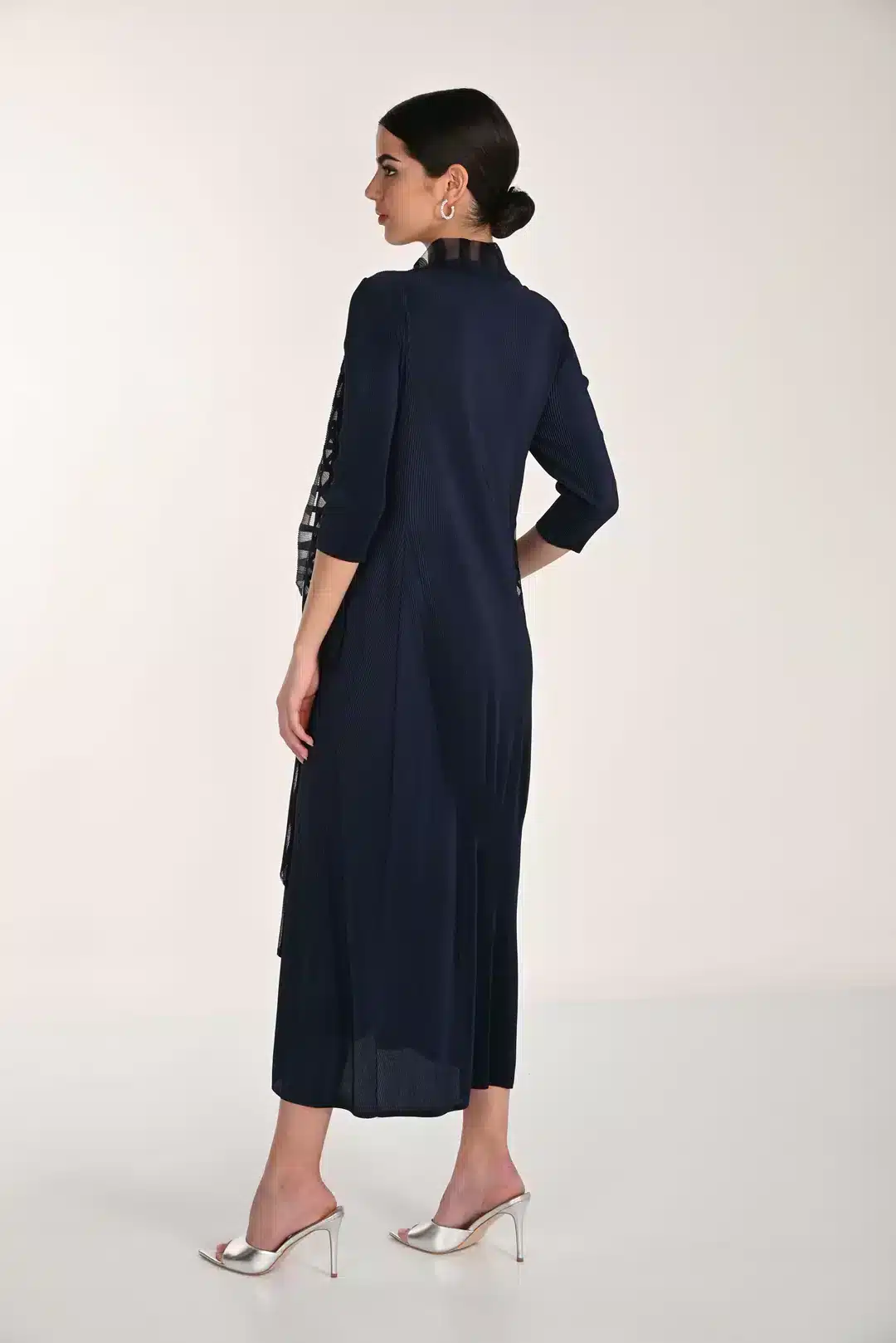 A-Line Round Neck Dress with Longline Mesh Overlay FLDR59.JPG