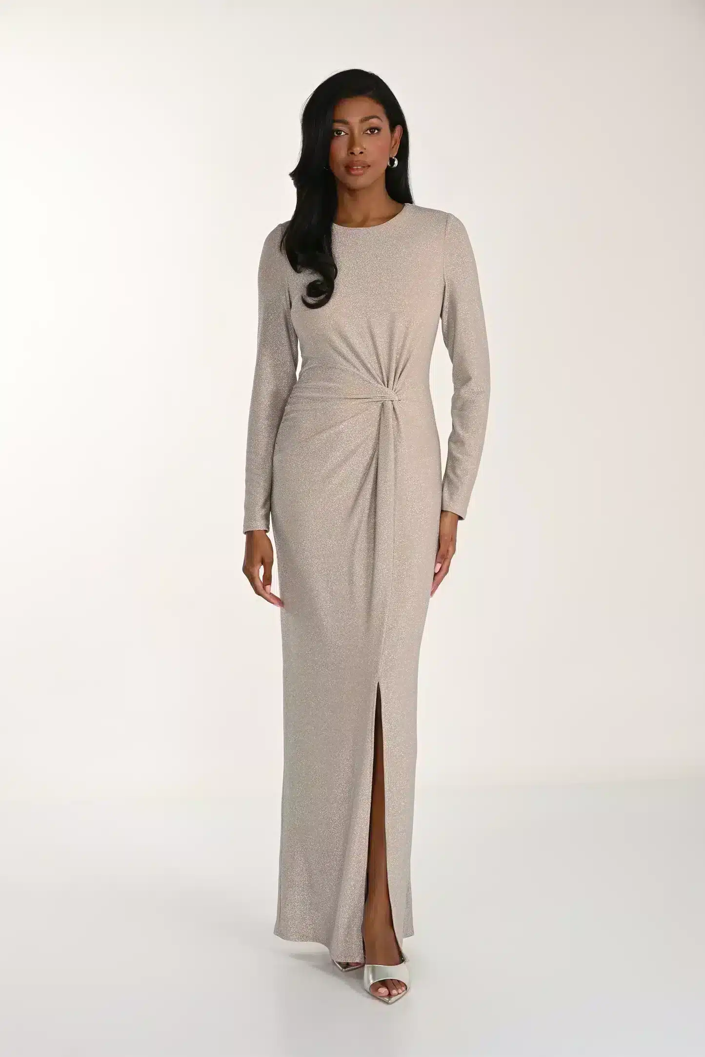 Taupe & Silver Long Sleeve Dress FLDR65.JPG